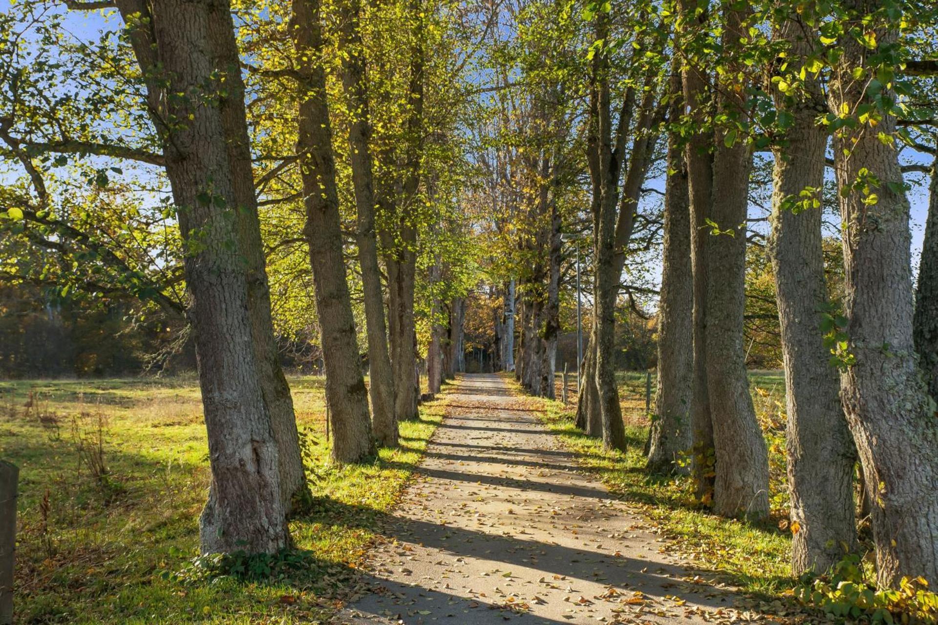 Grimsnas Herrgard Ljuder (Kronoberg) Extérieur photo